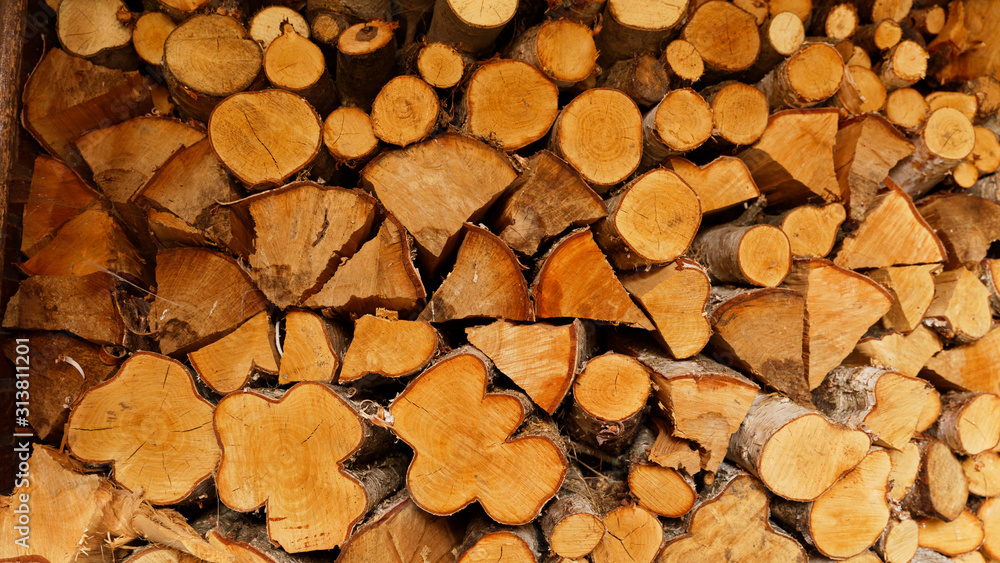 Stockpile of firewood neatly stacked in preparation for winter 