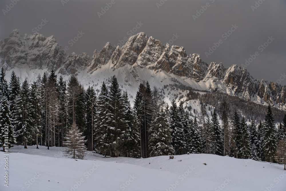 Fototapeta premium Mountains