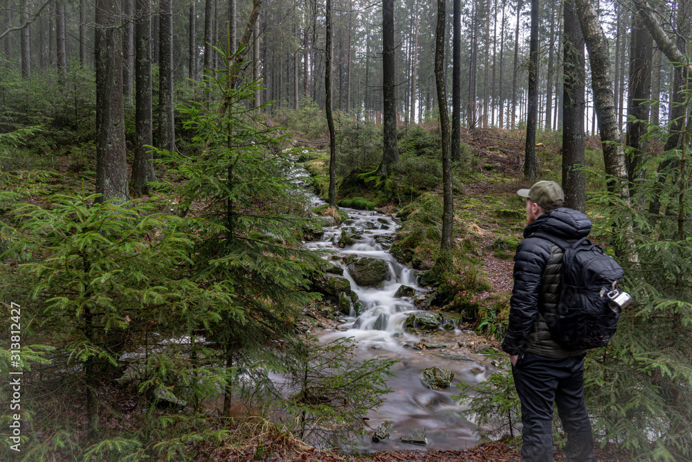 Fototapeta premium Hikingtrail, Waterfall Du Bayehon, Les Haute Fagnes, Belgium.