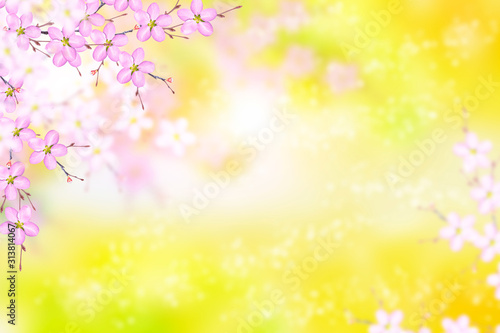 Blossoming branch apple. Bright colorful spring flowers