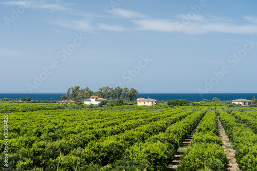 Photos Country and sea in Calabria, italy, at summer