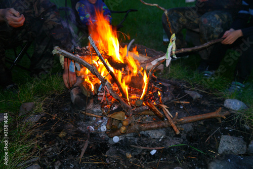 Closeup of a wooden campfire. Branchs and twigs on fire.