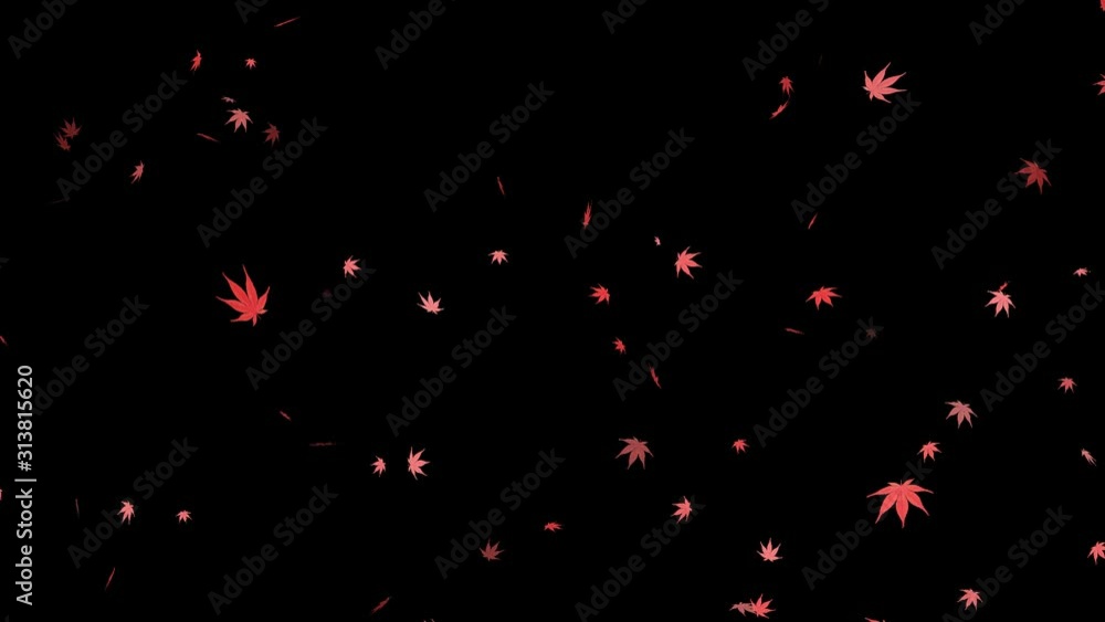 落ちていく紅葉 落ちていく紅葉