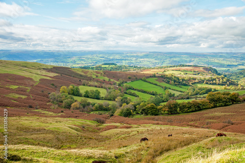 Black mountains scenery in the autumn