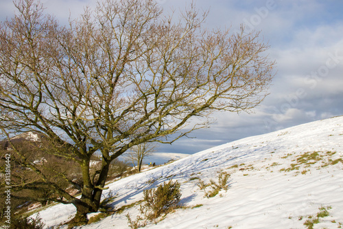 Malvern hills in the winter photo