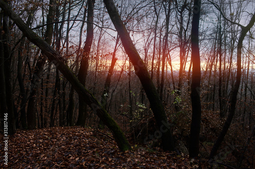 colorful sunset light in da...