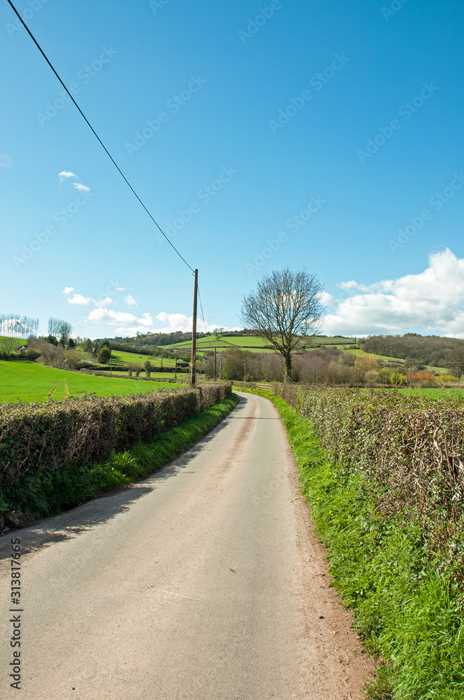 Summertime country lane in England
