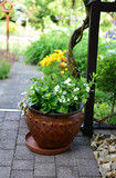 Garden decorations with flowers in pots and flower beds, terraces, balconies and pappers and stairs.