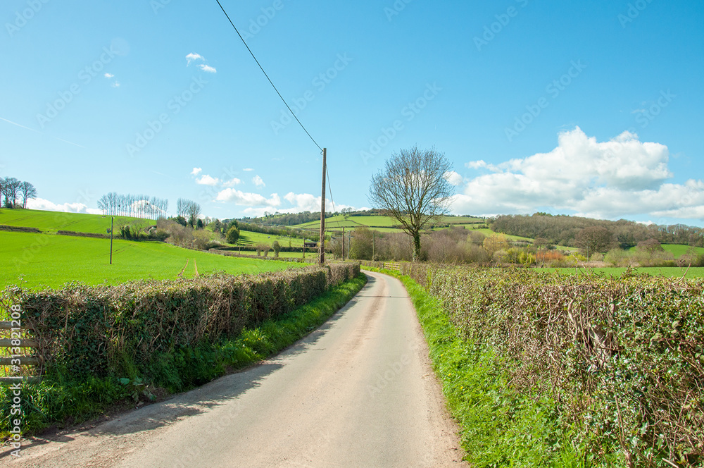 Springtime country road in England