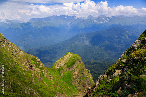 Beautiful mountain landscape in summer. Mountains with flowering Alpine plants.