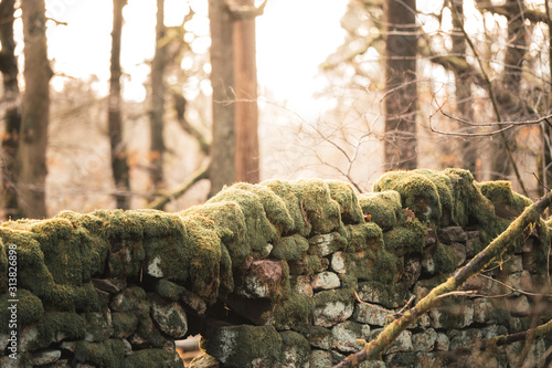 Dry Stone Wall with moss growing on the top during sunset with the sun in the background, shot in Winter photo