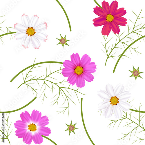 Floral background. Seamless pattern. Wild flowers. Green leaves. Cosmos flowers. White. Red. Purple. Green.