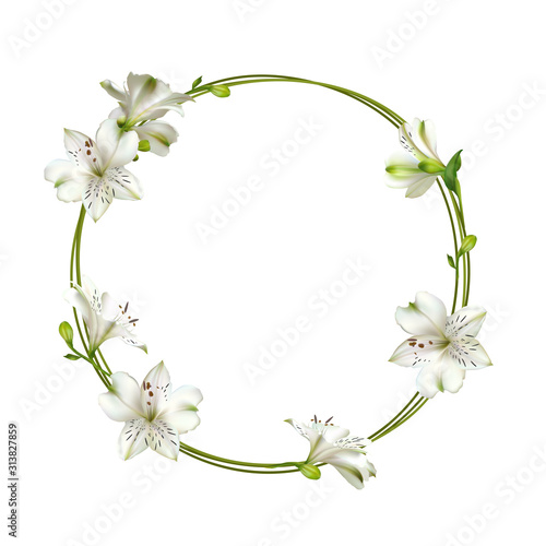 Flowers. Floral background. Lilies. White. Green. Leaves.