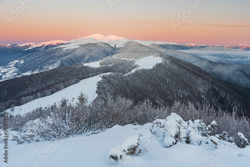 Beautiful pink morning in winter mountains