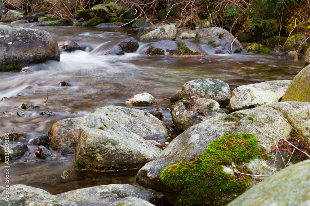 Fast mountain river in forest. Ziarska valley. Western Tatras. Slovakia Fast mountain river in forest. Ziarska valley. Western Tatras. Slovakia