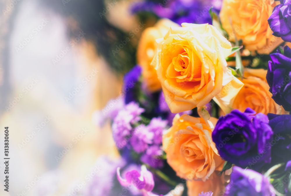 Obraz premium Closeup image of beautiful flowers wall background with amazing red and white roses Retro filter.