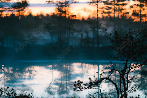 Fototapeta Naklejka Na Ścianę i Meble -  Sunrise in the bog, Estonian marsh, Viru raba landscape.