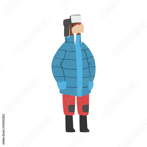 Walrus Wearing Warm Jacket and Hat with Ear Flaps, Humanized Sea Animal Character in Winter Clothes Cartoon Vector illustration