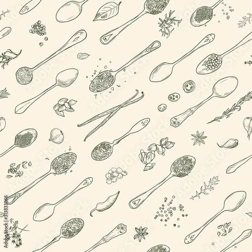 Spices, condiments background. Organic and fresh herbs. Hand drawn spoons, aromatic plants sketch. Kitchen template