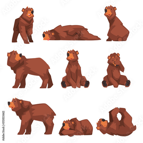 Cute Brown Bear Collection, Wild Forest Animal Character in Various Poses Vector illustration