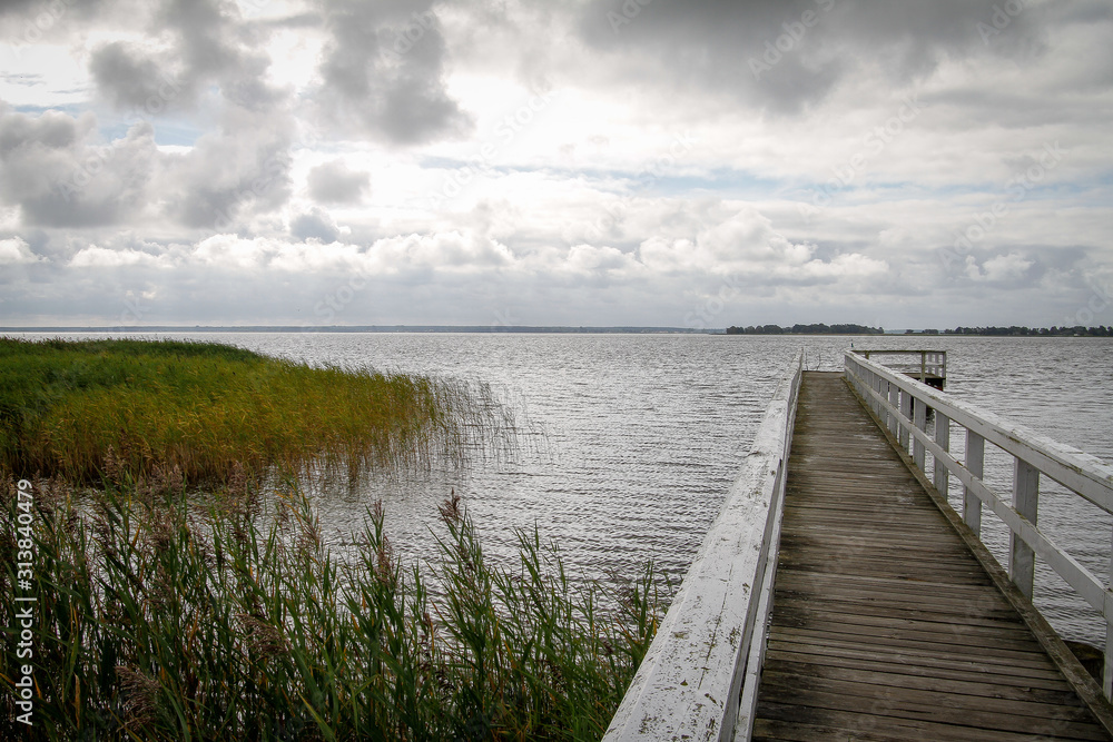 Jetty with white railing clouds and reeds