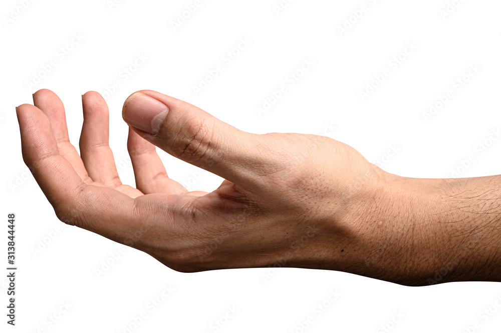 Hand open and ready to help or receive. Gesture isolated on white background with clipping path. Hand open and ready to help or receive. Gesture isolated on white background with clipping path.