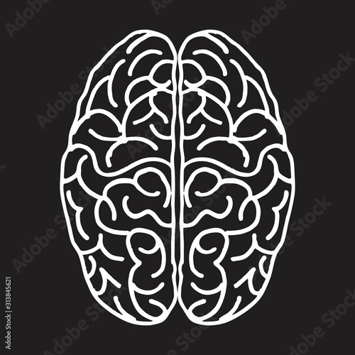 Freehand illustration of an isolated brain seen from above. White outlines on the dark background.
