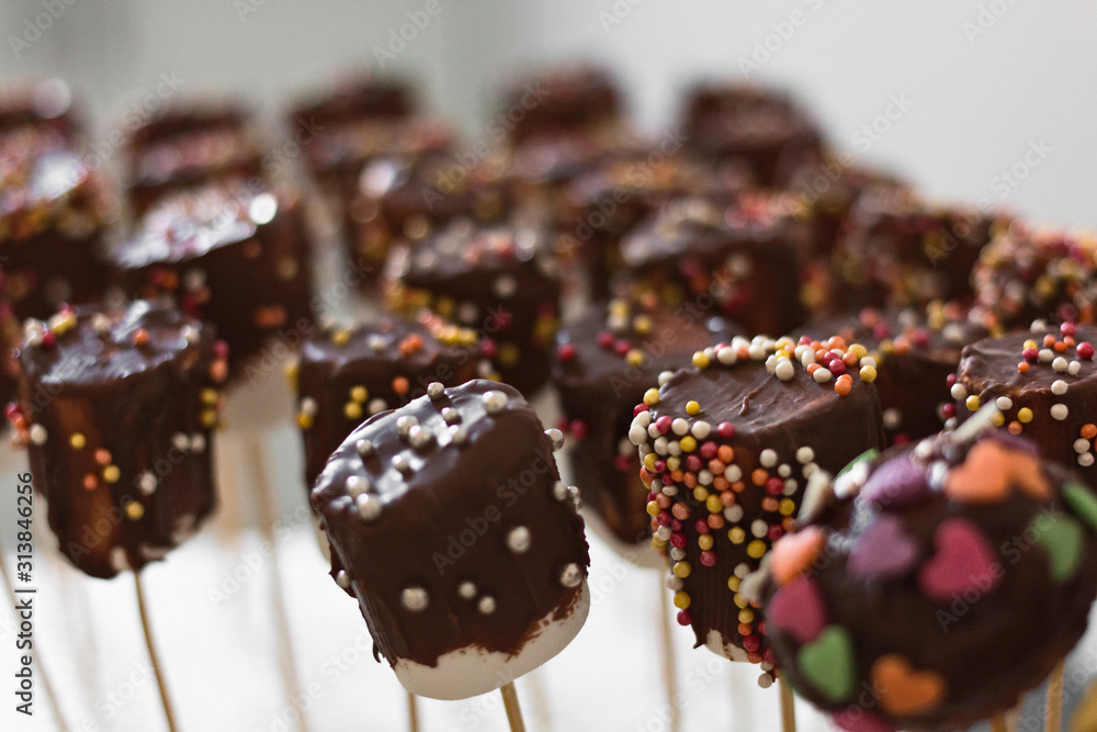 Cake pops candy sticks decorated with dark chocolate.