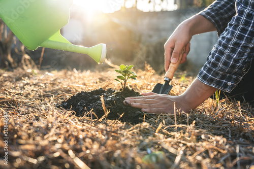 Environment earth day, Hands of two man helping were planting the seedlings and growing of young sprout trees growing, protection for care new generation to be planted into the soil in the garden