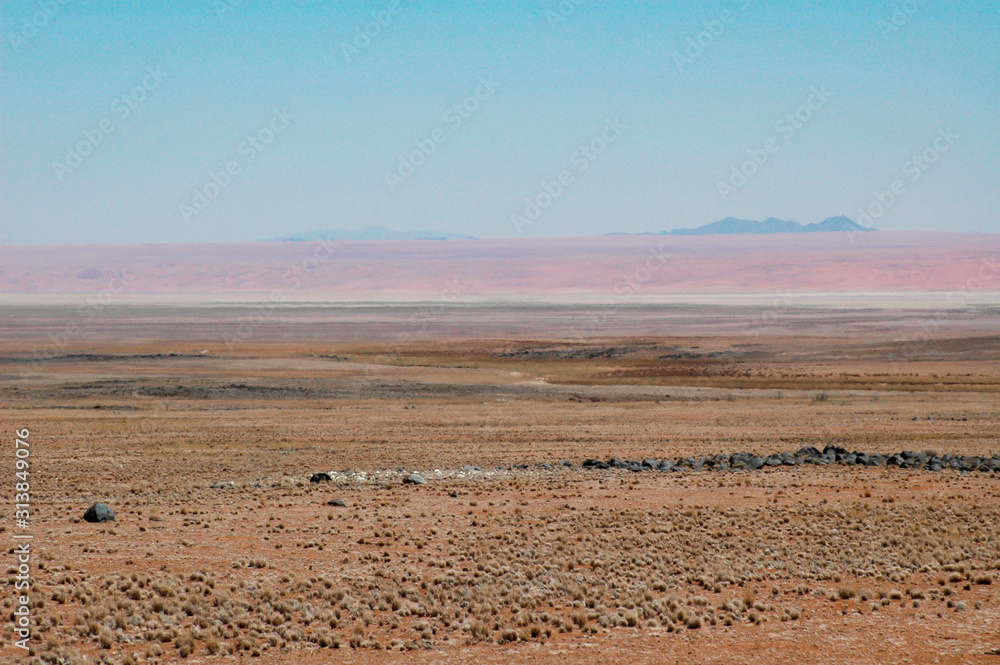 Scrub Brush and Red Sands in the Desert Scrub Brush and Red Sands in the Desert