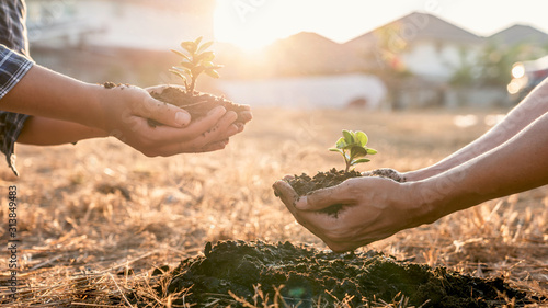 Environment earth day in hands, two people holding of young sprout trees growing seedlings, protection for care new generation to be planted into the soil in the garden as save world concept
