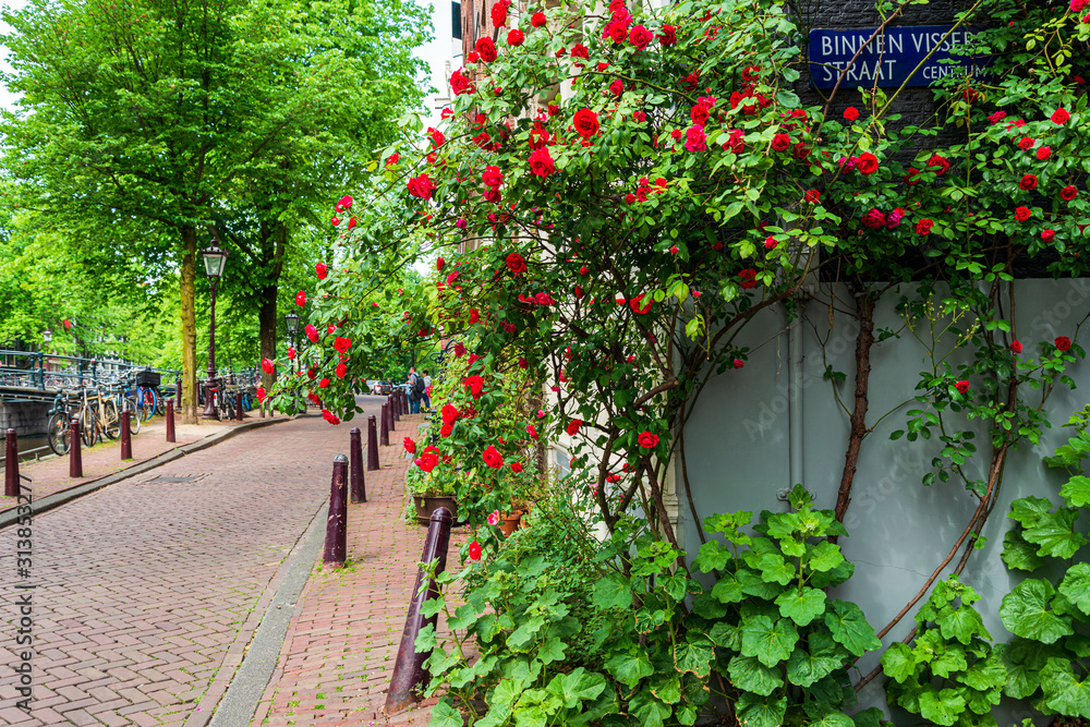 Obraz premium Amsterdam, Netherlands - May 23, 2018 : Street view of downtown in Amsterdam, Netherlands