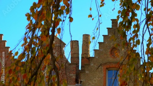 Tree with colored autunn leaves on the background of an old Belgian building photo