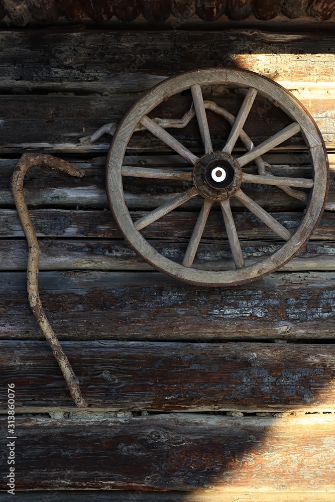 Twisted swagger stick and wooden cart wheel hanged on wooden wall of vintage blockhouse, morning winter sunshine. 