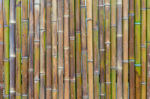 decorative wall panel  colorful bamboo stems in vertical pattern