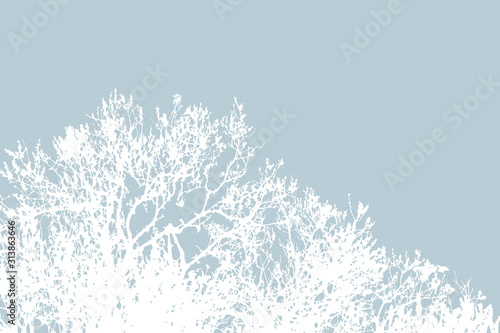 silhouette of wood in forest, dry trees, doodle style, vector stock illustration