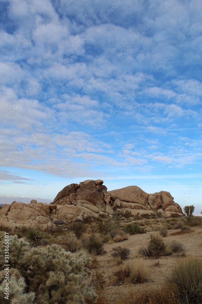 Towards the end of Indian Cove Trail in Joshua Tree National Park, clouds form peaceful patterns in the sky above native plants of the Southern Mojave Desert.