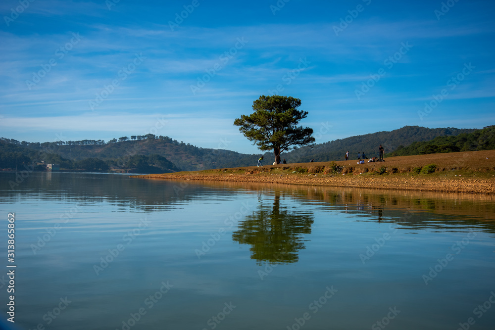 Obraz premium art and beauty lonely pine tree reflection on the lake wwith magic light and blue sky at sunrise