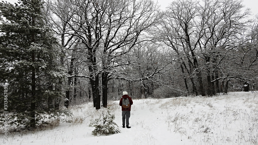 Tourist in the winter forest