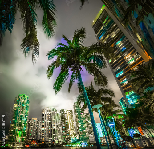 Palm trees and skyscrapers in Miami riverwalk © Gabriele Maltinti