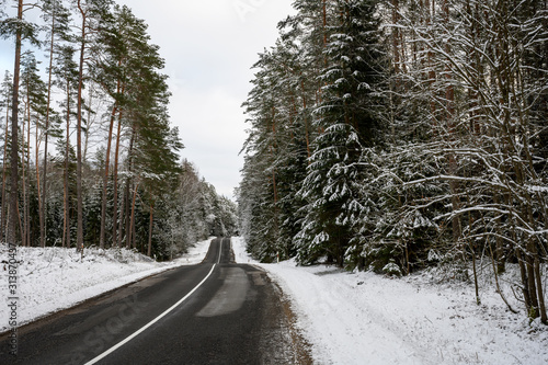 Winter road in Labanoras forest, Lithuania