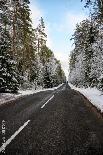 Beautiful winter road in the forest