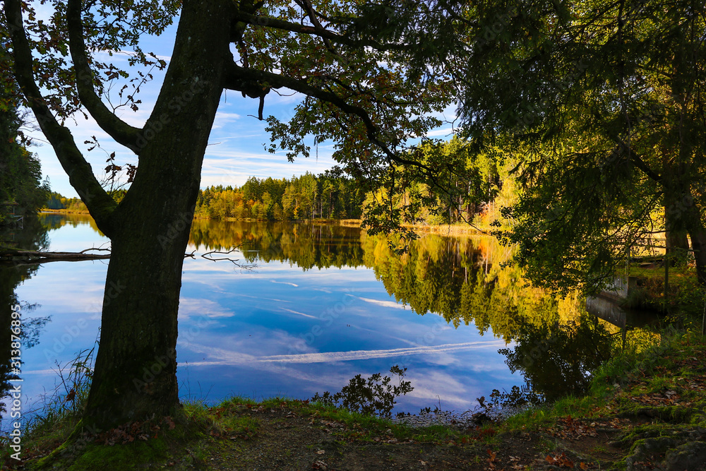 Obraz premium Herbststimmung mit Spiegelung im See in Oberschwaben