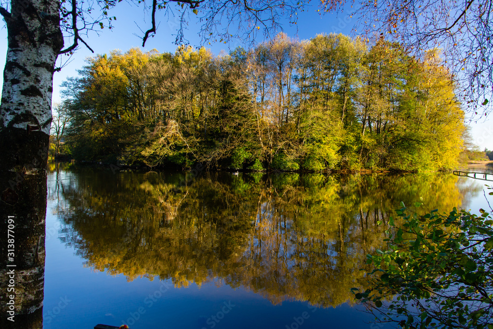Obraz premium Herbststimmung mit Spiegelung im See in Oberschwaben