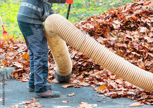 Worker clearing up the red autumn leaves using a leaf blower machine photo