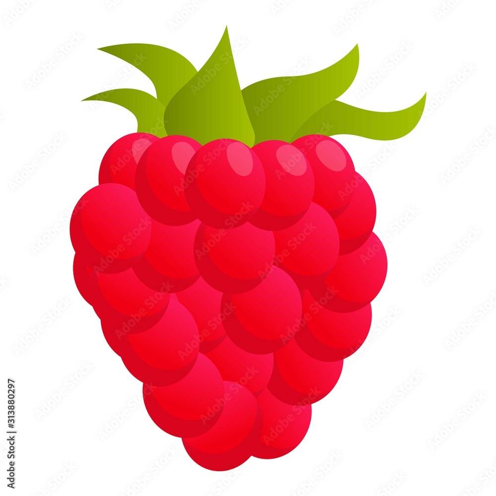 Raspberry food icon. Cartoon of raspberry food vector icon for web