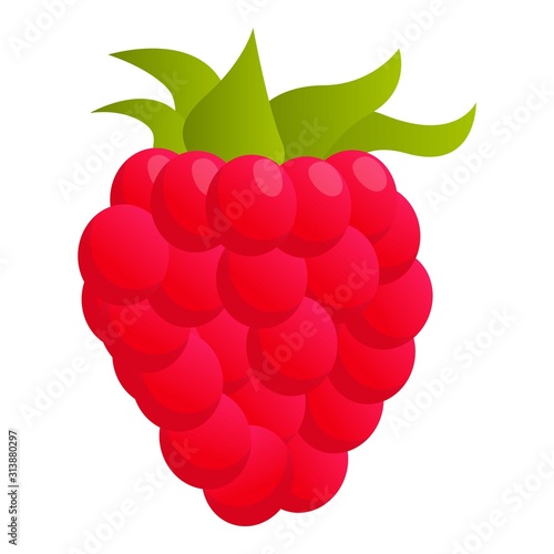 Raspberry food icon. Cartoon of raspberry food vector icon for web design isolated on white background