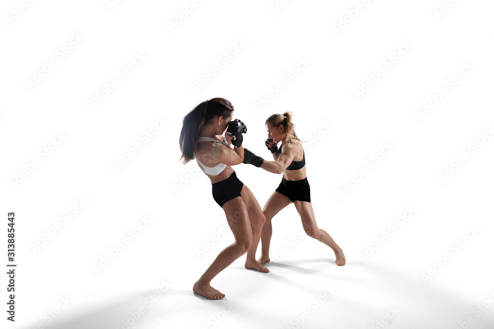 MMA female fighters isolated on white background. MMA female fighters isolated on white background.