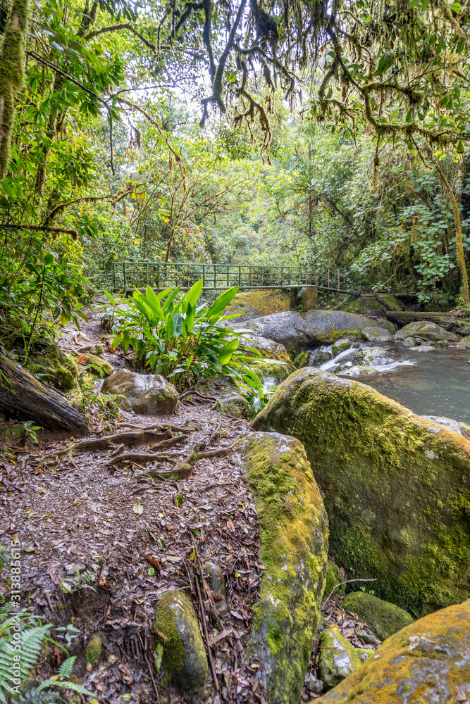 Costa Rica. Small river in the Los Quetzales National Park (Spanish: Parque Nacional Los Quetzales). Costa Rica. Small river in the Los Quetzales National Park (Spanish: Parque Nacional Los Quetzales).