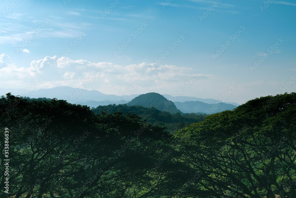 Nature landscape tree and hill with blue sky on background.